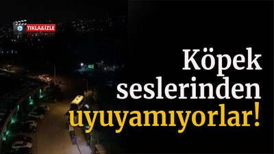 Köpek seslerinden uyuyamıyorlar!